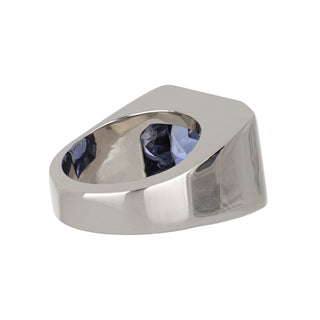 Tenenbaum Workshop Sri Lanka Sapphire Ring in 18K White Gold