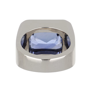Tenenbaum Workshop Sri Lanka Sapphire Ring in 18K White Gold