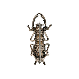 Victorian Silver Carved Mother-of-Pearl Beetle Pin
