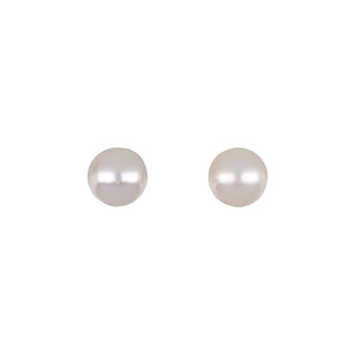 Tenenbaum 14K Gold Akoya Pearl Stud Earrings