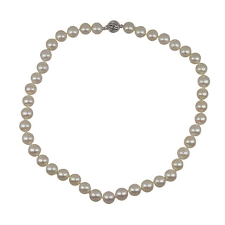 Tenenbaum 14K White Gold Freshwater Pearl Choker Necklace
