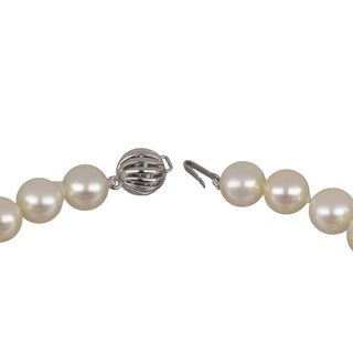 Tenenbaum 14K White Gold Freshwater Pearl Choker Necklace