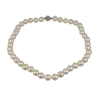 Tenenbaum 14K White Gold Freshwater Pearl Choker Necklace