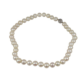 Tenenbaum 14K White Gold Freshwater Pearl Choker Necklace