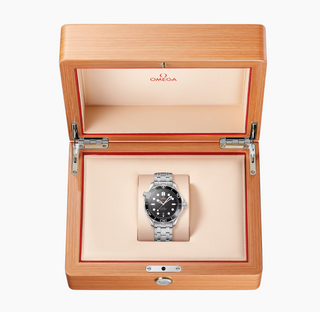 Omega Stainless Steel Seamaster Diver 300m in Black