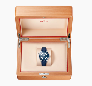 Omega Stainless Steel Seamaster Diver in Blue Ceramic