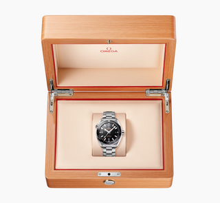 Omega Stainless Steel Seamaster Planet Ocean in Black Ceramic