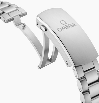 Omega Stainless Steel Seamaster Planet Ocean in Black Ceramic