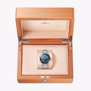 Omega 18K & Stainless Steel Seamaster Diver 300m in Blue
