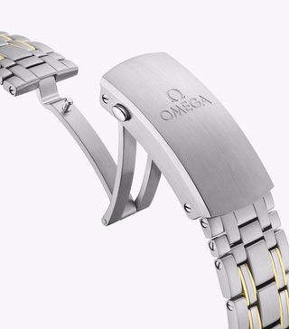 Omega 18K & Stainless Steel Seamaster Diver 300m in Blue