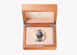 Omega Stainless Steel 42mm Seamaster Diver 300m in Black