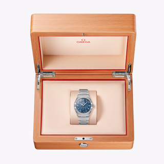 Omega Stainless Steel Constellation