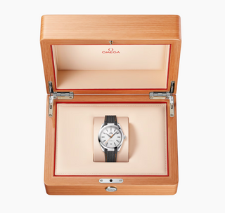 Omega Stainless Steel Seamaster Aqua Terra