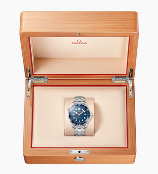 Omega Stainless Steel Seamaster Professional Diver in Blue Ceramic