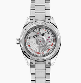 Omega Stainless Steel Seamaster Aqua Terra