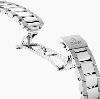 Omega Stainless Steel Seamaster Aqua Terra in Green PVD