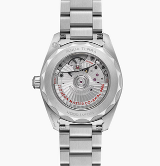 Omega Stainless Steel Seamaster Aqua Terra in Green PVD