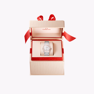 Omega 18K/Stainless Steel Constellation