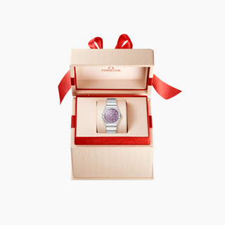 Omega Stainless Steel Constellation