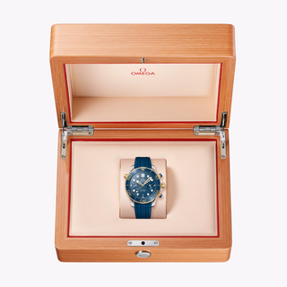 Omega 18K/Stainless Steel Seamaster Diver 300m