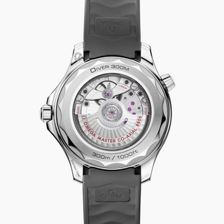 Omega Seamaster Diver 300M