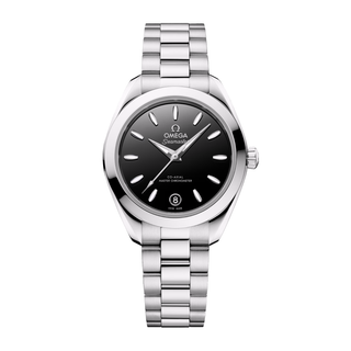 Omega Stainless Steel Seamaster Aqua Terra 150m in Black