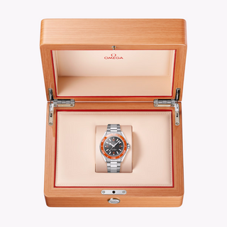 Omega Seamaster Planet Ocean 600M in Black & Red