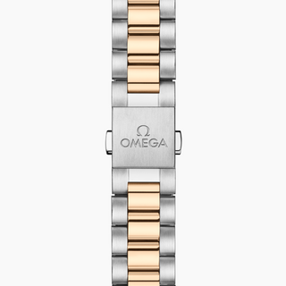 Omega 18 Karat/Stainless Steel Seamaster Aqua Terra