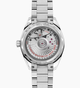 Omega Stainless Steel Seamaster Aqua Terra