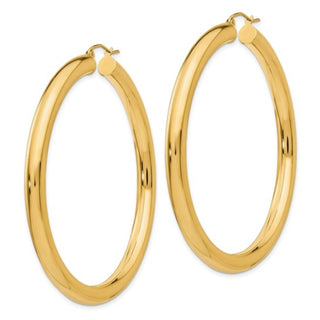 Precious Metal (No Stones) Earring