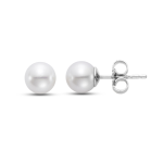 White 14K Gold Akoya Pearl Stud Earrings