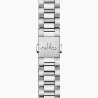 Omega Stainless Steel Seamaster Aqua Terra in Bay Green