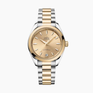 Omega 18 Karat/Stainless Steel Seamaster Aqua Terra