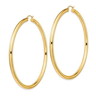 Tenenbaum Collection 14K Gold Hoop Earrings