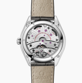 Omega Stainless Steel De Ville