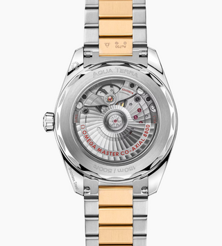 Omega 18 Karat/Stainless Steel Seamaster Aqua Terra