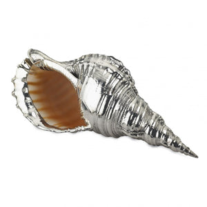 Buccellati Small Silver Charonia Tritonis Seashell