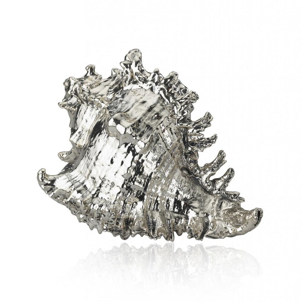 Buccellati Sterling Silver Large  Murex Ramosus Shell