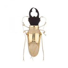 Load image into Gallery viewer, Mid-Century 18K Gold Beetle Brooch
