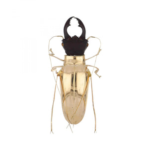 Mid-Century 18K Gold Beetle Brooch