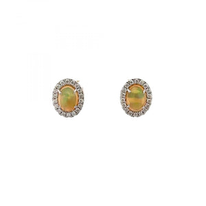 Maharaja 14K White Gold Opal Stud Earrings