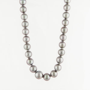 Tahitian Cultured Pearl Necklace