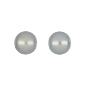 14K White Gold Tahitian Pearl Stud Earrings