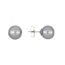Load image into Gallery viewer, 14K White Gold Tahitian Pearl Stud Earrings
