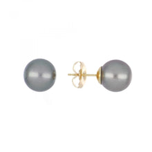 Load image into Gallery viewer, 14K Gold Tahitian Pearl Stud Earrings
