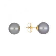 Load image into Gallery viewer, 14K Gold Tahitian Pearl Stud Earrings
