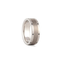 Load image into Gallery viewer, Platinum And Titanium Band
